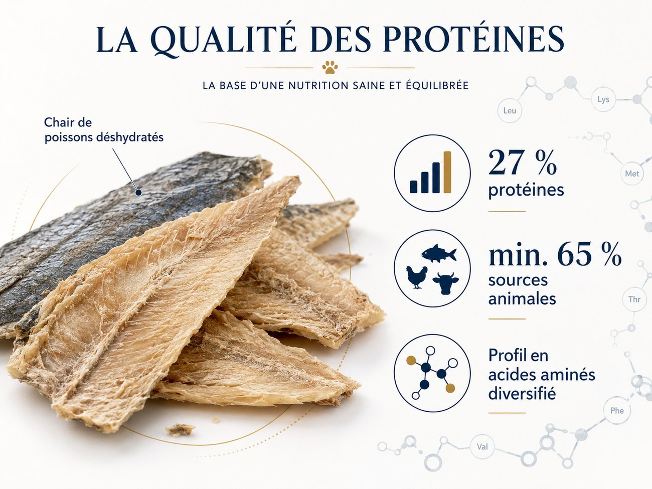 Qualité des protéines et chair de poissons déshydratés