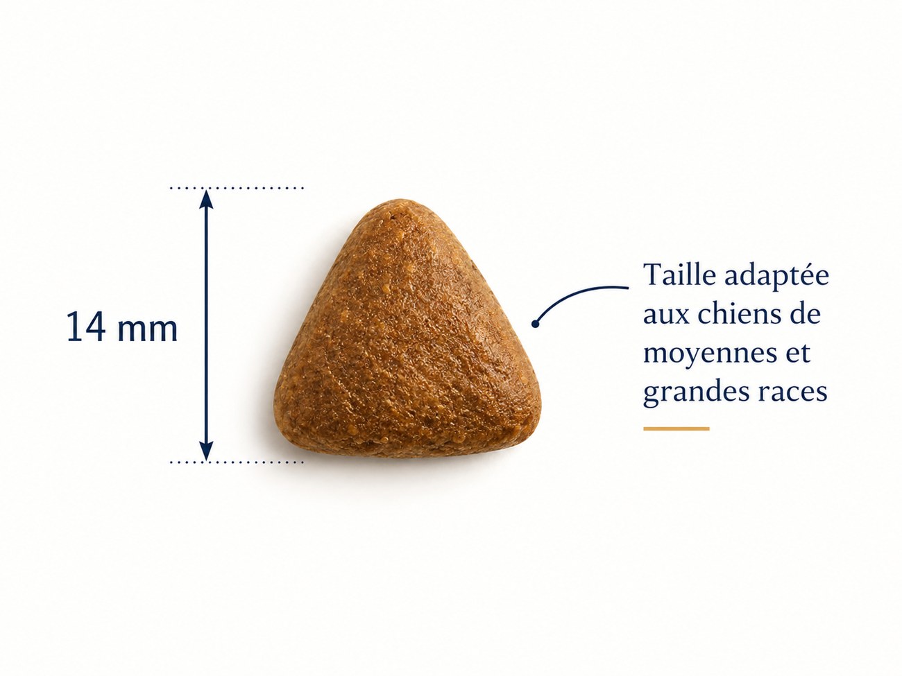Taille de croquette 14 mm pour chien adulte