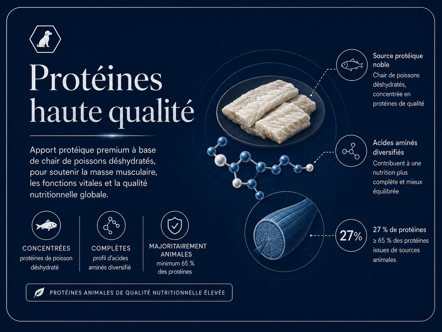 Carte bénéfice Protéines de haute qualité MAVERICK